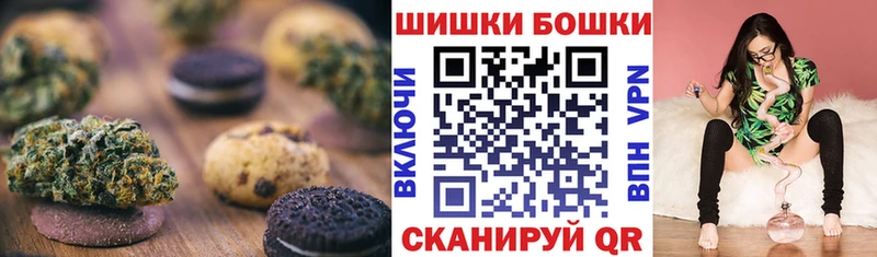 Купить закладки  Советская Гавань  Canna-Cookies конопля 