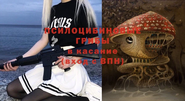 экстази Гусь-Хрустальный