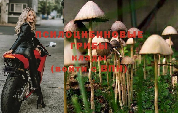 экстази Гусь-Хрустальный